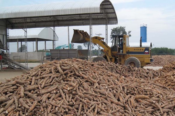 Xuất khẩu nông sản của Lào dự kiến vượt 2 tỷ USD trong năm 2023