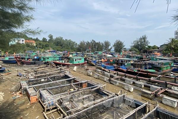 Bão số 1 cách Móng Cái (Quảng Ninh) khoảng 480 km