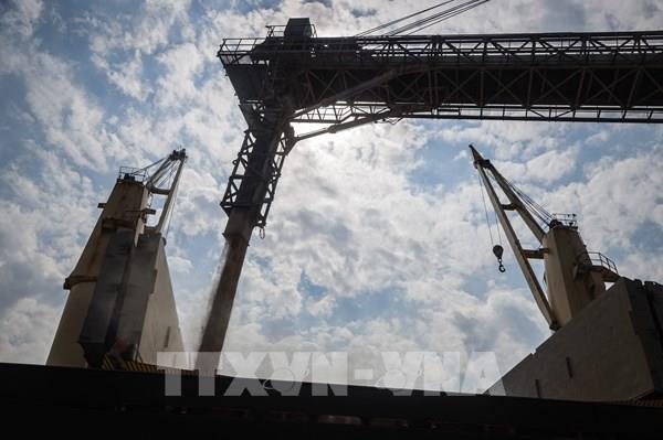 Sáng kiến Ngũ cốc Biển Đen sẽ hết hiệu lực nếu Nga không nhất trí gia hạn