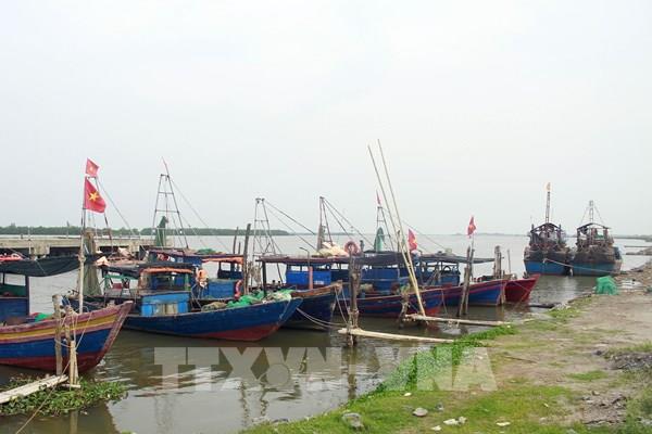 Bão số 1 cách Móng Cái (Móng Cái) Quảng Ninh khoảng 140 km