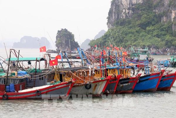 Ra thời hạn tịch thu phương tiện, sản phẩm khai thác thủy sản bất hợp pháp