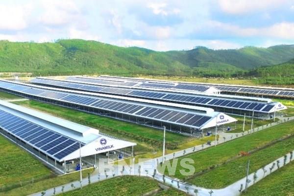 Phân tích dòng tiền từ hoạt động kinh doanh của Vinamilk