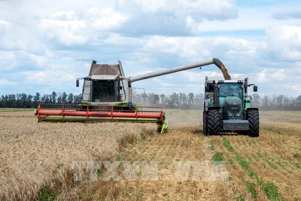 Xuất khẩu ngũ cốc của Ukraine gia tăng