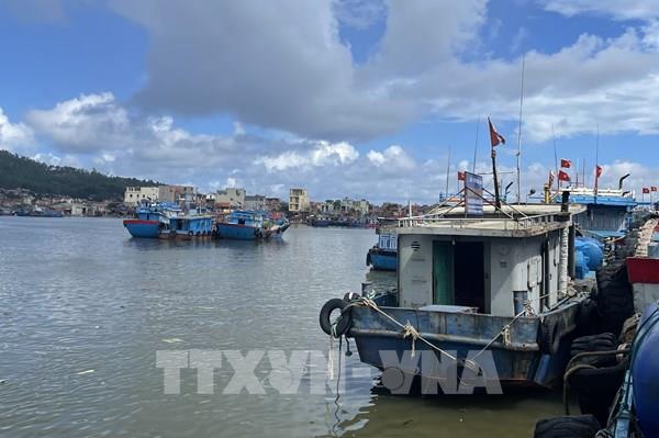 Xử phạt hơn 900 triệu đồng đối với tàu cá vi phạm tại Thanh Hóa