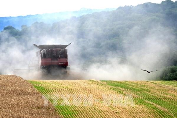 Tổng hợp sự kiện quốc tế nổi bật trong tuần qua ảnh (từ ngày 17-23/7/2023)