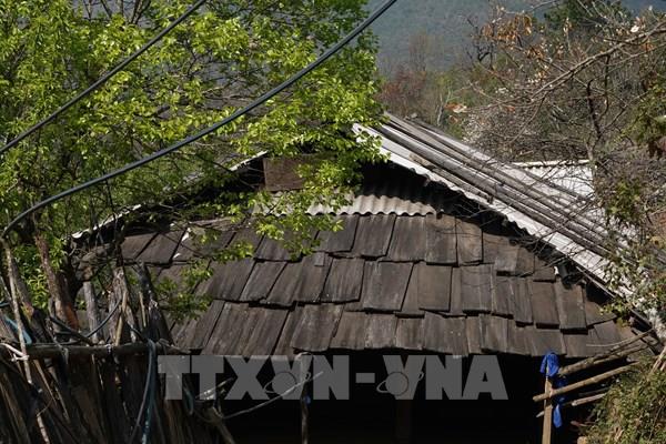 Những nếp nhà gỗ Pơ Mu độc đáo ở Lùng Cúng