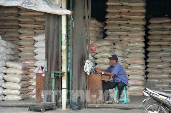Indonesia cảnh báo nguyên nhân khiến giá gạo thế giới tăng cao