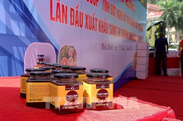 Hòa Bình lần đầu xuất khẩu tinh bột nghệ và trà chanh đào mật ong sang Anh