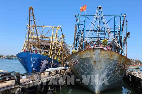 Giải pháp hữu hiệu chống khai thác hải sản bất hợp pháp