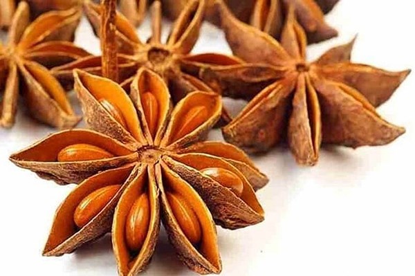 Bộ Nông nghiệp kiến nghị tạm giữ lô hàng hoa hồi tại cảng của UAE