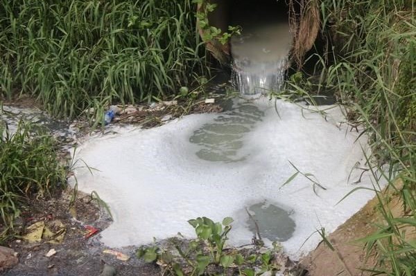 Tây Ninh xử phạt 830 triệu đồng một doanh nghiệp gây ô nhiễm môi trường