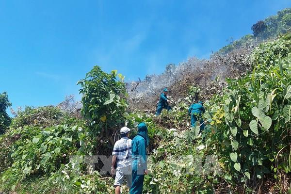 Đà Nẵng: Kịp thời khống chế đám cháy trên đèo Hải Vân