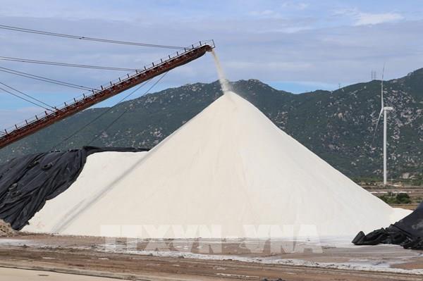 Đa dạng sản phẩm, xây dựng thương hiệu muối Ninh Thuận