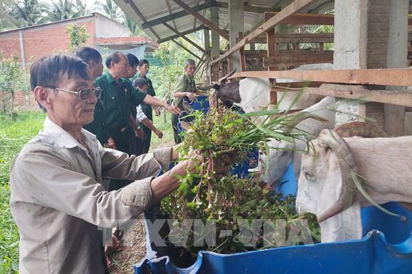 Cựu chiến binh Bến Tre vươn lên từ nguồn vốn vay ưu đãi