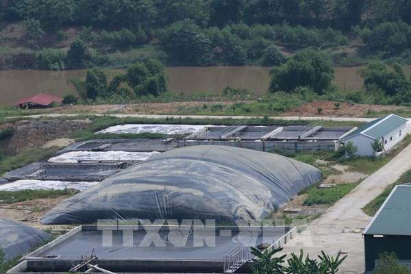 Trang trại lợn công nghệ cao ở Yên Bái tiếp tục gây ô nhiễm môi trường