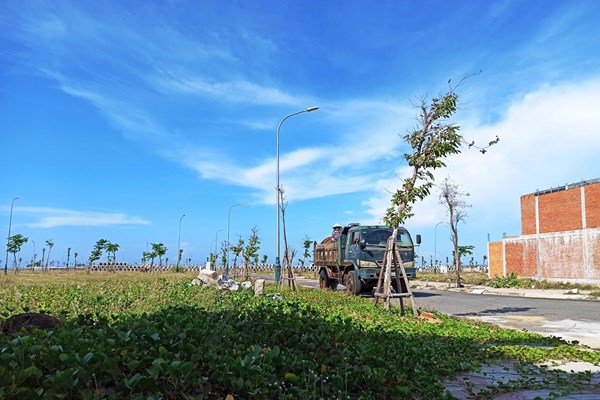 Điều tra làm rõ dấu hiệu dàn xếp trong đấu giá đất tại tỉnh Phú Yên