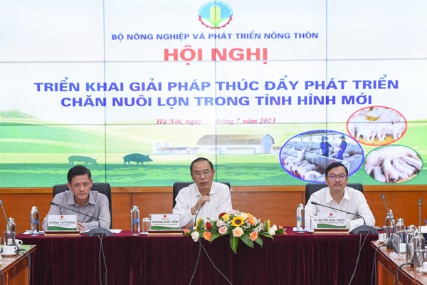 Chăn nuôi lợn có dấu hiệu phục hồi