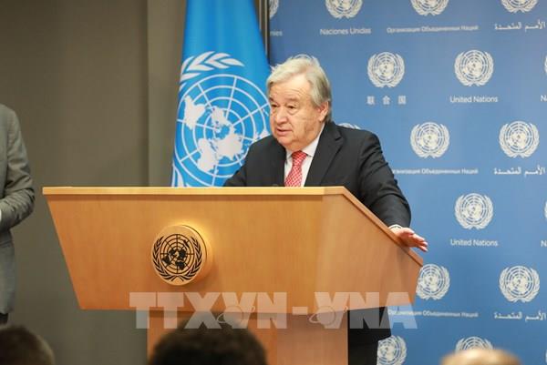 LHQ cảnh báo hàng viện trợ không thể thay thế Sáng kiến ngũ cốc Biển Đen