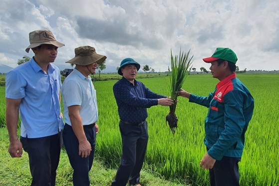Lan tỏa những mô hình nông nghiệp hữu cơ, tuần hoàn