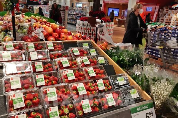 Tăng trưởng kinh tế Canada có dấu hiệu giảm tốc