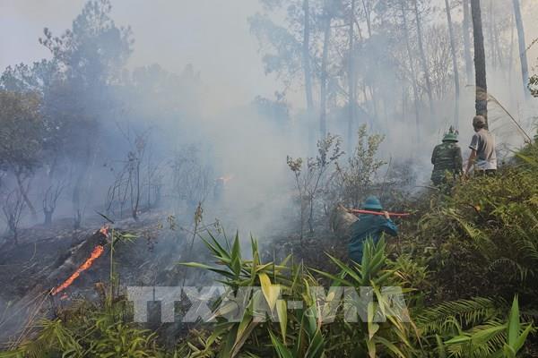 Thừa Thiên – Huế: Khẩn trương khống chế vụ cháy rừng thông