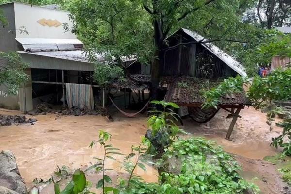 An Giang: 413 ha lúa, hoa màu của người dân bị ngập úng do mưa lớn