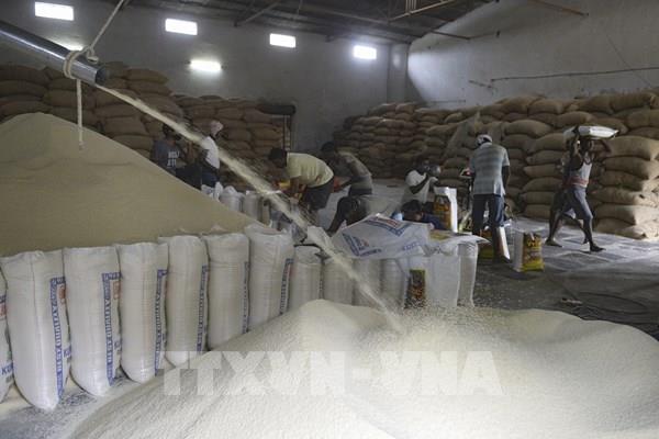 Châu Á và châu Phi chịu tác động lớn nhất khi Ấn Độ cấm xuất khẩu gạo