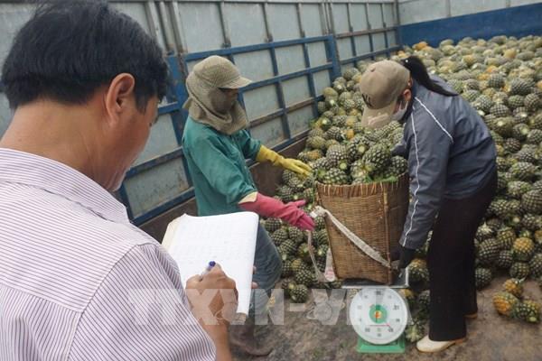 Chủ động tìm kiếm giải pháp để tiêu thụ nông sản