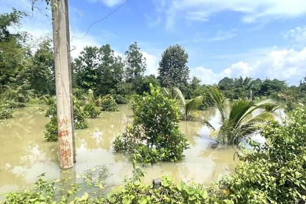 Cảnh báo lũ trên các sông Đồng Nai và sông La Ngà