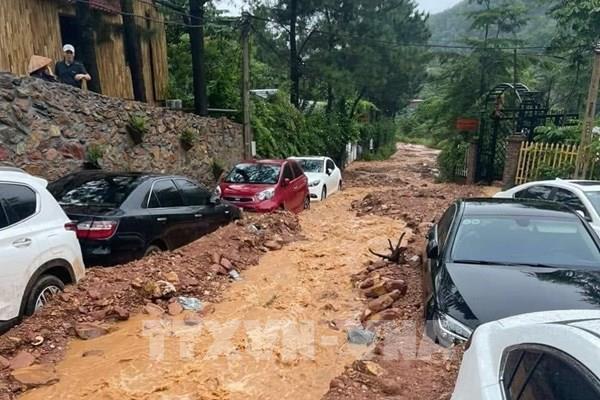 Đánh giá nguyên nhân xói lở đất đồi rừng tại Sóc Sơn