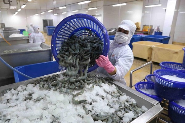 Hoa Kỳ là thị trường xuất khẩu lớn nhất của Việt Nam trong 4 tháng