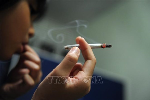 Campuchia áp thuế VAT 10% đối với thuốc lá