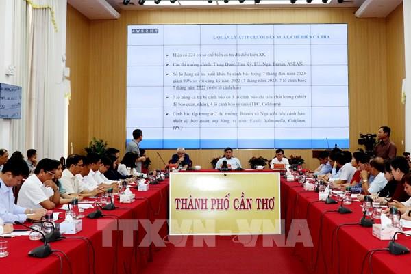 Kim ngạch xuất khẩu cá tra năm 2023 dự báo giảm 15%