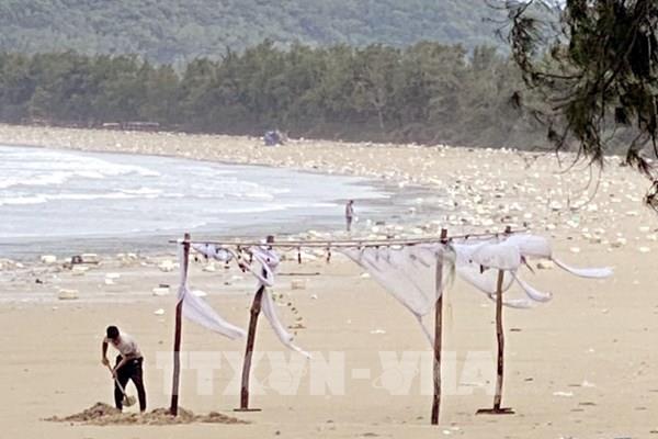 Rác phao xốp phủ kín bờ biển Cô Tô