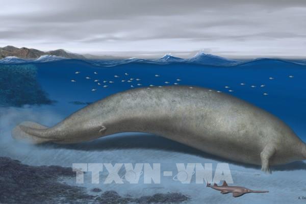 Tổng hợp sự kiện quốc tế nổi bật trong tuần qua ảnh (từ ngày 31/7 - 6/8/2023)