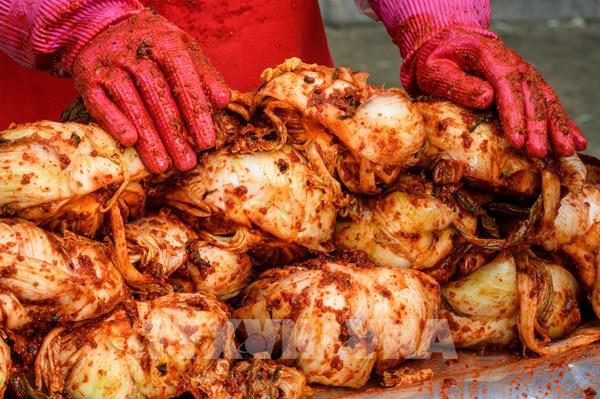 Kim chi của Hàn Quốc ngày càng thu hút khách hàng Mỹ và châu Âu