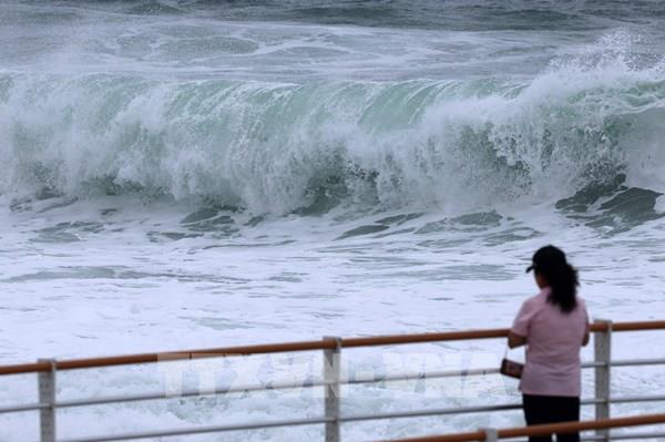 Hàn Quốc ban bố tình trạng khẩn cấp trong 24 giờ nhằm ứng phó với bão Khanun