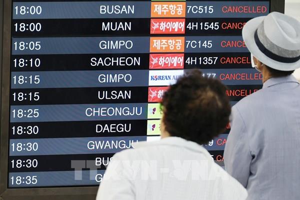 Bão Khannun đổ bộ Hàn Quốc, hàng trăm chuyến bay bị đỉnh chỉ