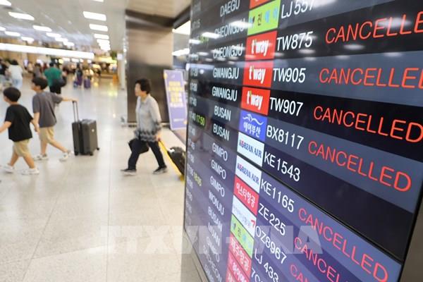 Sân bay Jeju gián đoạn hoạt động vì tuyết rơi dày