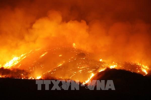 Mỹ: Cháy rừng thiêu rụi tòa chung cư tại bang Texas