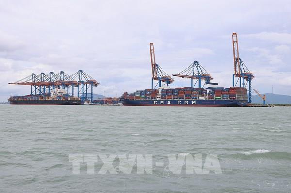 Trình Thủ tướng Đề án nghiên cứu cảng trung chuyển quốc tế Cần Giờ theo hướng cảng xanh