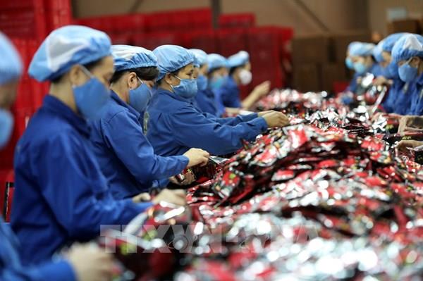 Bộ Công Thương khảo sát nhu cầu đào tạo để thực thi và tận dụng các FTA