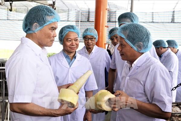 Cần giải pháp tăng tốc thực hiện các chương trình mục tiêu quốc gia