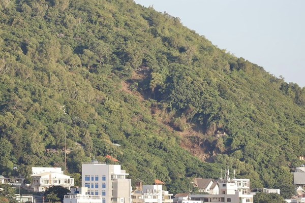 Thông tin thêm về vụ chặt hạ cây trên triền núi Nhỏ, Bà Rịa-Vũng Tàu