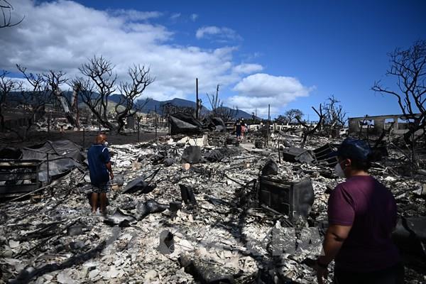 Thảm họa cháy rừng ở Hawaii (Mỹ): Thiệt hại vật chất ước tính 6 tỷ USD