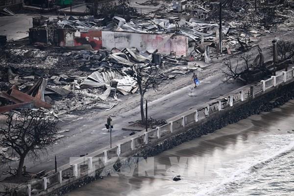 Cận cảnh những gì còn sót lại sau thảm họa cháy rừng ở Hawaii (Mỹ)