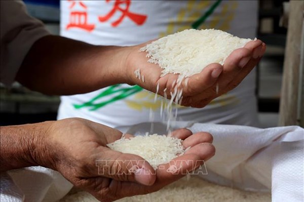 Indonesia sẽ nhập khẩu 1 triệu tấn gạo từ Trung Quốc