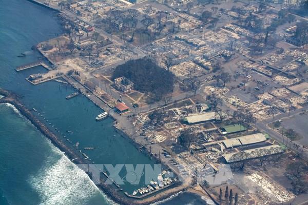 Động đất tại Kamchatka (Nga): Đóng cửa các cảng thương mại tại Hawaii