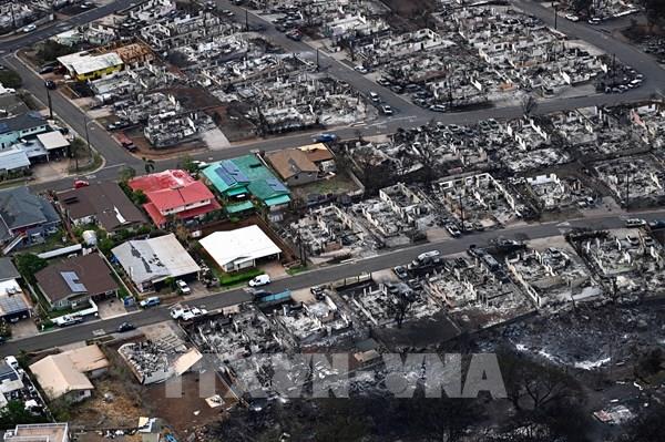 Cháy rừng ở Hawaii (Mỹ): Số người thương vong chưa dừng lại