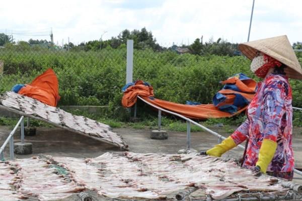 Tăng thu nhập từ chế biến cá khô